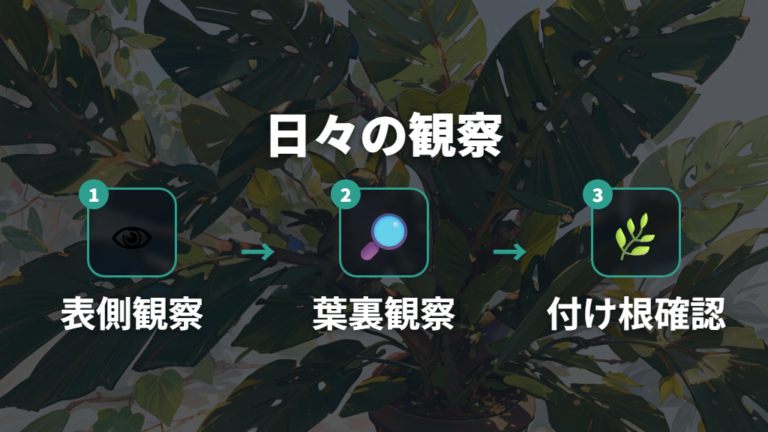 白い斑点と葉色の見分け方を日々の観察に落とし込む