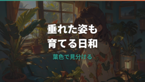 ヒメモンステラが垂れ下がるのは大丈夫?原因と支柱・剪定の整え方