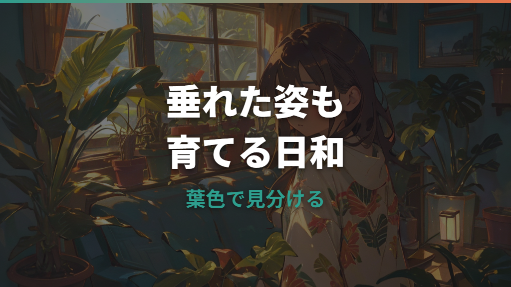 ヒメモンステラが垂れ下がるのは大丈夫？原因と支柱・剪定の整え方