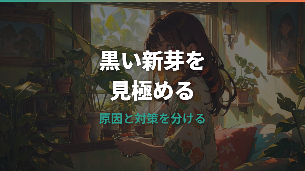 モンステラの新芽が黒い原因は？切る判断と根腐れの見分け方