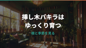 パキラの挿し木が大きくならない原因と見直しポイント