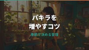 パキラの枝を増やす剪定方法|切る場所・時期・新芽を出す管理まで