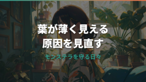モンステラの葉の色が薄い原因は?日当たり・水やり・肥料の見分け方