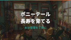 観葉植物ポニーテールの寿命は何年？トックリランを長く育てるコツ