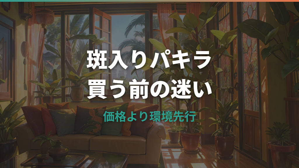 パキラ・ミルキーウェイは買うべきか？価格に見合う魅力と後悔しない選び方