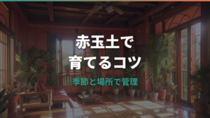 ガジュマルを赤玉土のみで育てても大丈夫?土選びと水やりの注意点