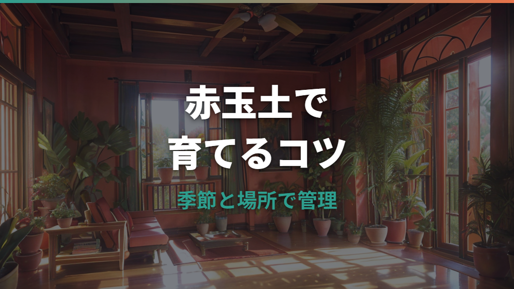 ガジュマルを赤玉土のみで育てても大丈夫？土選びと水やりの注意点