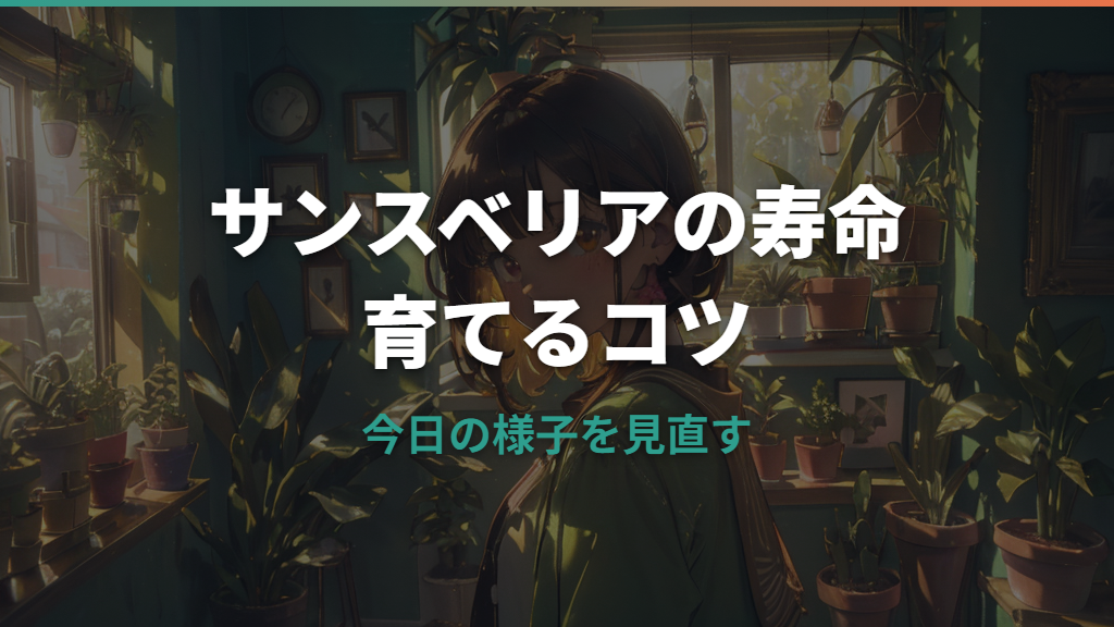 サンスベリアの寿命は何年?枯れるサインと長生きさせる育て方