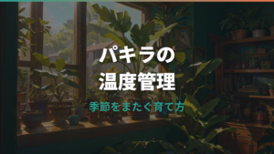 パキラの気温管理は何℃が目安?冬越し・夏越し・葉の不調サインを解説