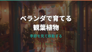 観葉植物を外に出しっぱなしは大丈夫?夏冬の注意点と屋外向きの種類