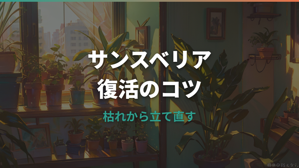 サンスベリアが枯れたら復活できる?症状別の見分け方と対処法