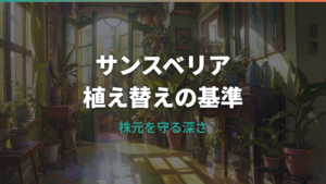サンスベリア植え替え深さの正解は?株元の埋め方と根腐れを防ぐコツ