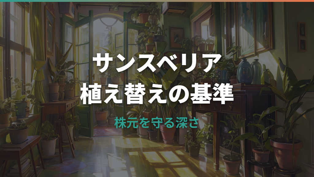 サンスベリア植え替え深さの正解は?株元の埋め方と根腐れを防ぐコツ