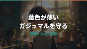 ガジュマルの葉の色が薄い原因は?日当たり・水やり・肥料の見分け方