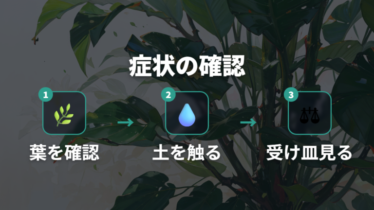 水のやりすぎで出る葉の症状をまず確認する