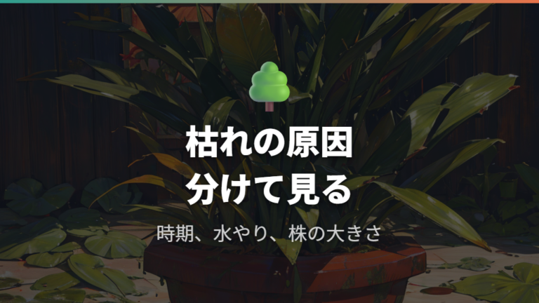 株分け後に枯れる主な原因を先に押さえる