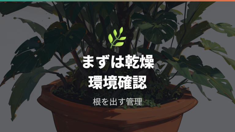 挿し木パキラが育たない原因は乾燥と環境から確認する