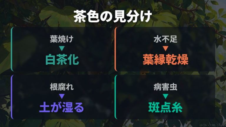 葉が茶色くなる主な原因を症状別に整理する