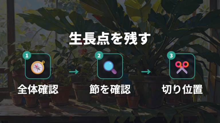 枝を増やす剪定の切り方は節や芽の位置を見て決める