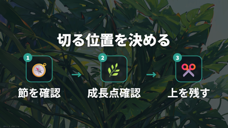 伸びすぎた茎の切り戻し方は節を見て決める