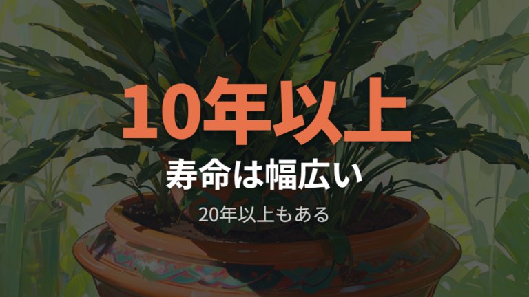 ポニーテールの寿命は何年くらいか