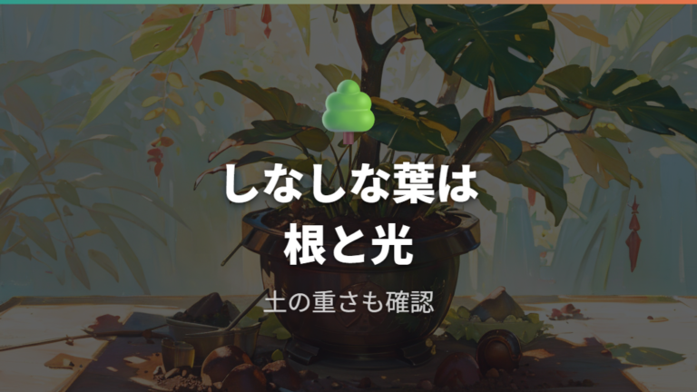 葉っぱがしなしなになる原因は根と光から疑う