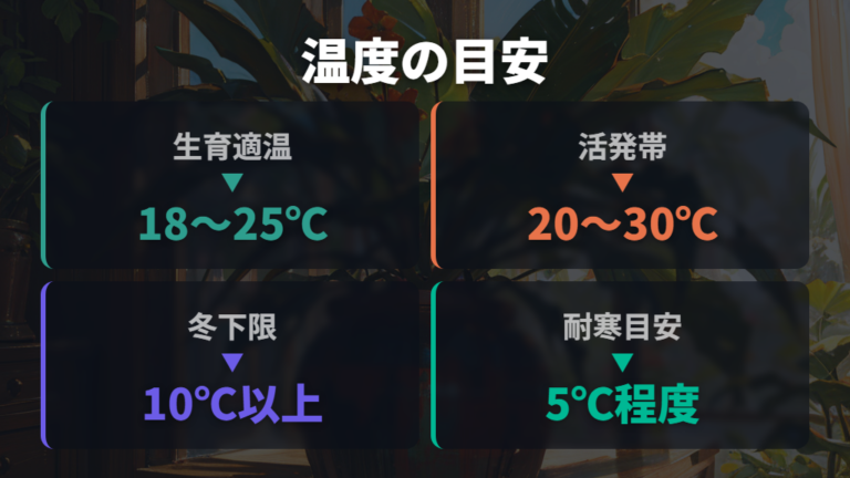 パキラの適温と最低気温は何℃が目安か