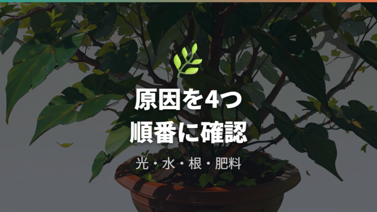 葉の色が薄くなる主な原因をまず整理する