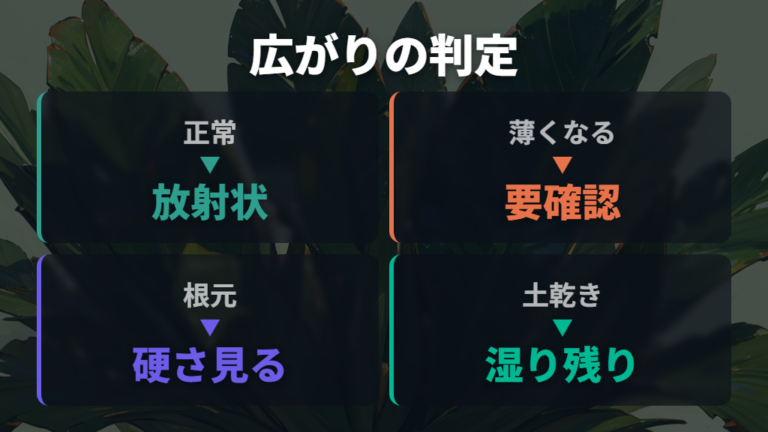 葉が横に広がる主な原因は正常な形か不調かで分ける