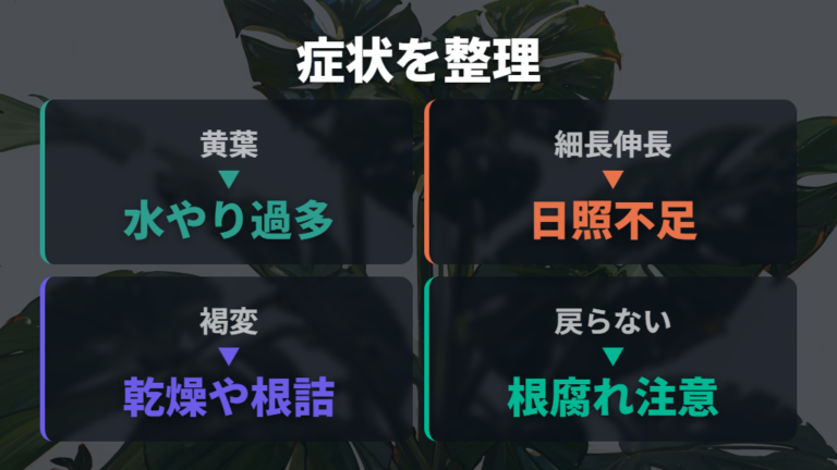 葉がだらんと垂れる主な原因を症状別に見る