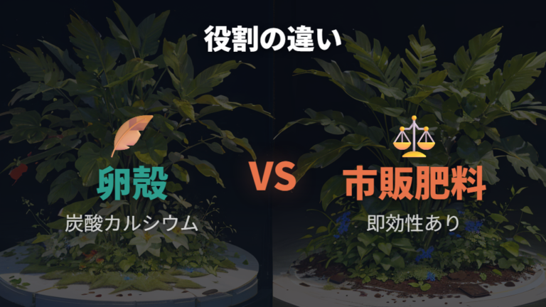 観葉植物に期待できる栄養効果はNPK肥料と分けて考える