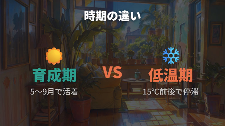 成長しないときの見直しポイントは時期と温度にある