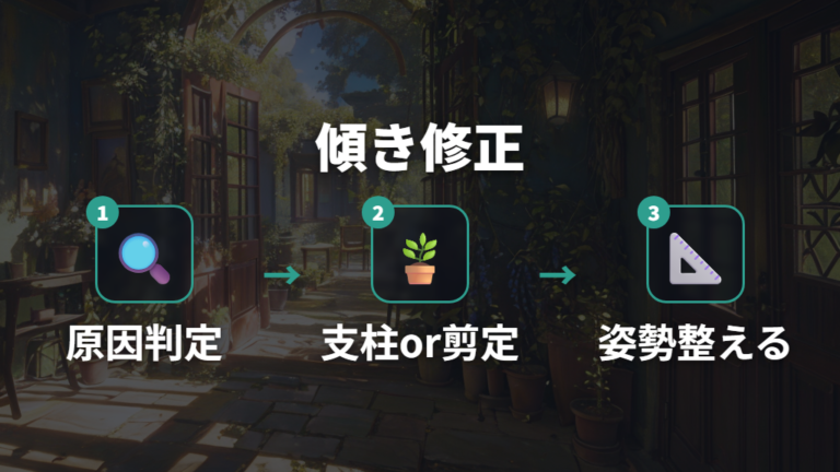 傾いたパキラの仕立て直し方は支柱と剪定で分ける