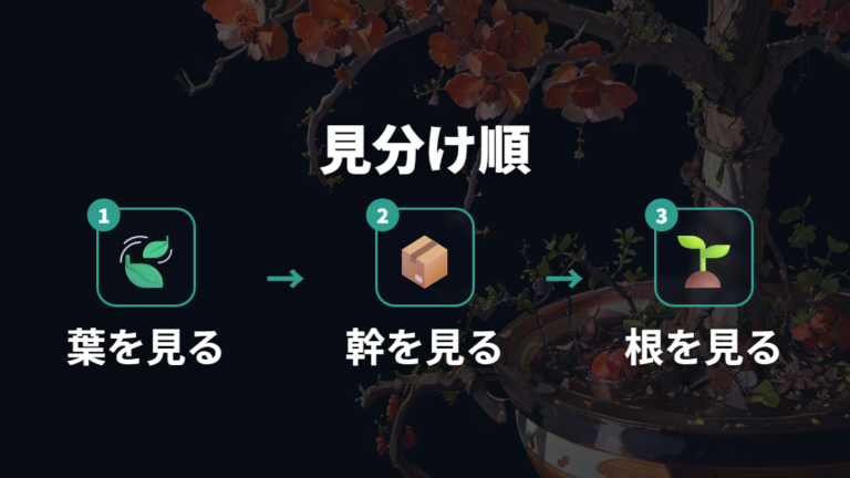枯れとの見分け方は葉だけでなく幹と根も見る