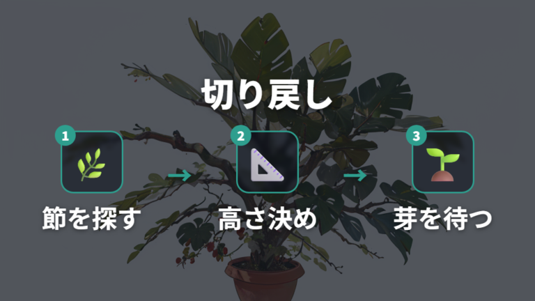 新芽を出す切り戻しのコツは節の上で高さを決める
