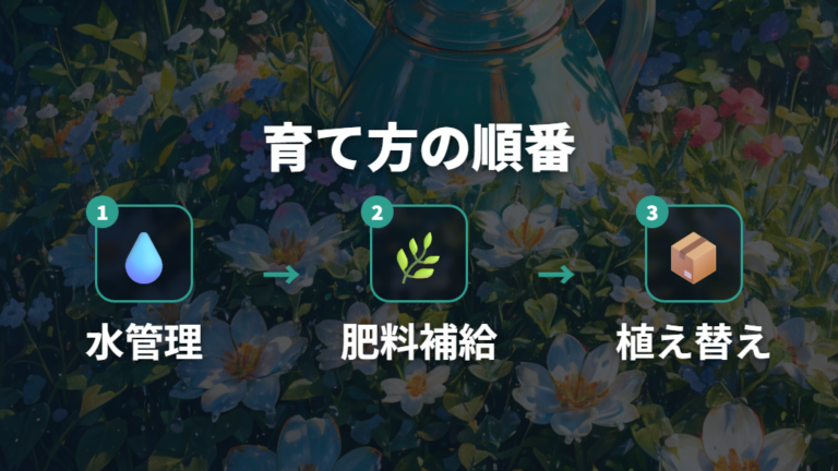 赤玉土単用の育て方は水・肥料・植え替えをセットで見る