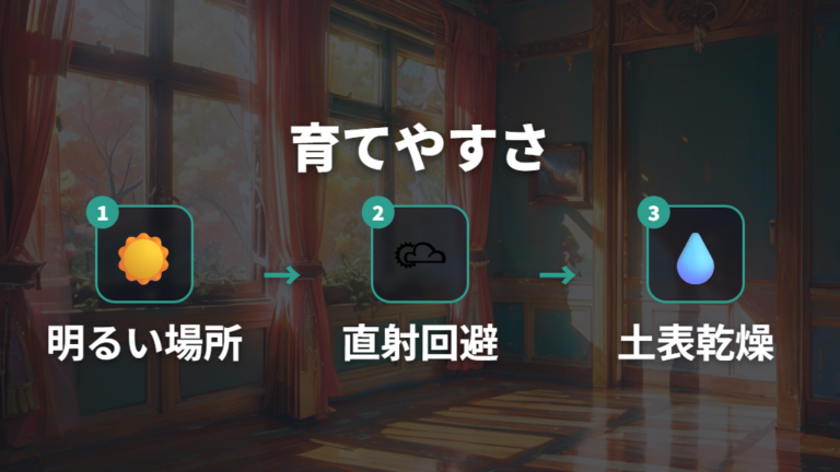 斑入りパキラの育てやすさは初心者でも大丈夫か