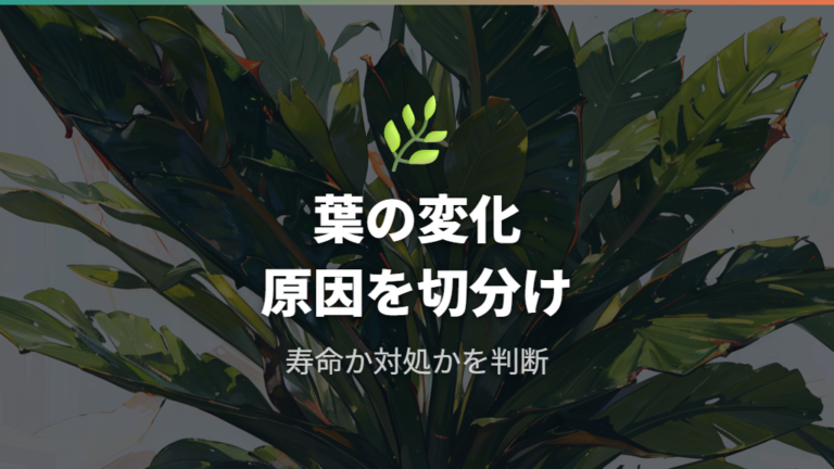 寿命と枯れる症状の違いは原因の切り分けで見る