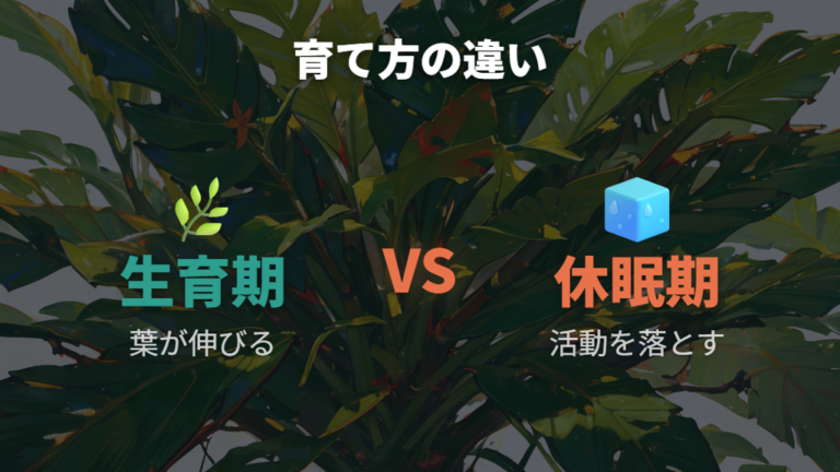 元気に育つ温度の目安は生育期と休眠期で変わる