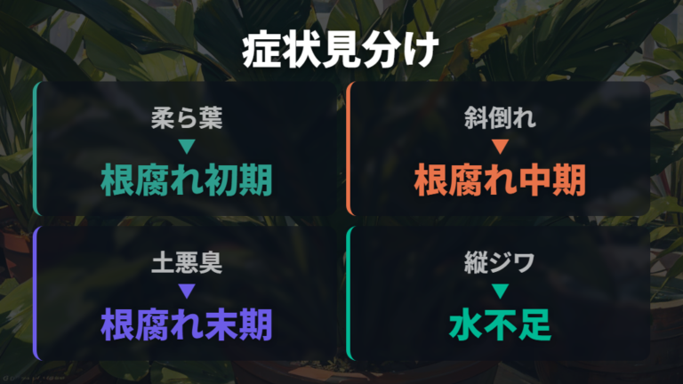 葉の症状別に見る枯れる原因を整理する