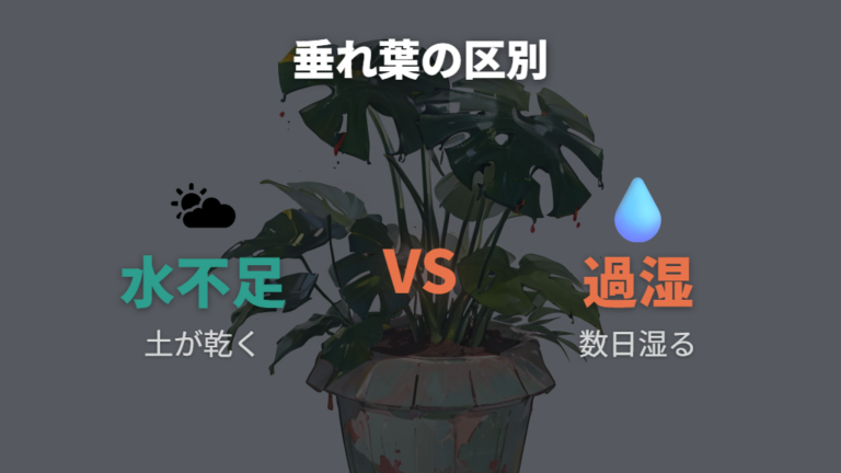 葉が垂れるときの水分サイン