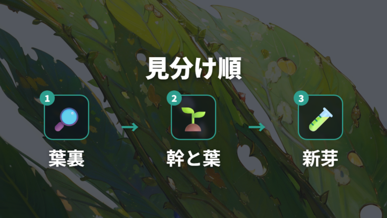 葉や幹の症状で虫を見分けるチェックポイント