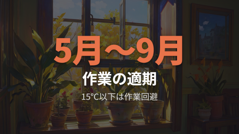 株分けに適した時期と気温を比較して決める