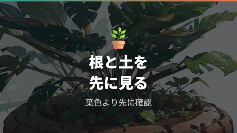 元気がないときの見直しポイントは根と土の状態