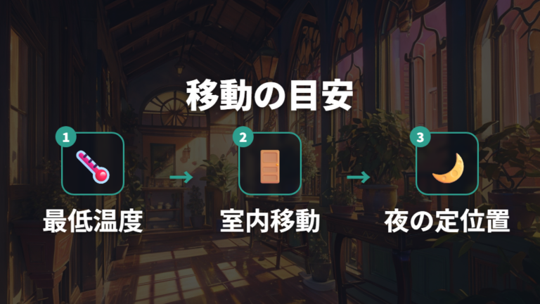 屋外から室内へ移すタイミングは最低気温で決める