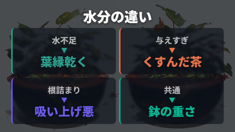 水やり不足と与えすぎの違いは質感と土で判断する