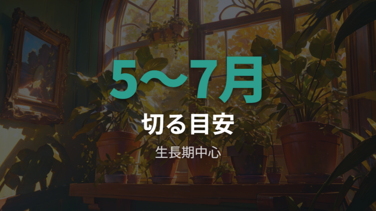 剪定に向いている時期は5〜7月を中心に株の状態も見る