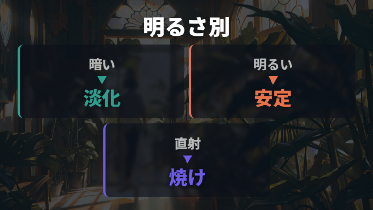日当たり不足と葉色の関係を明るさ別に見る