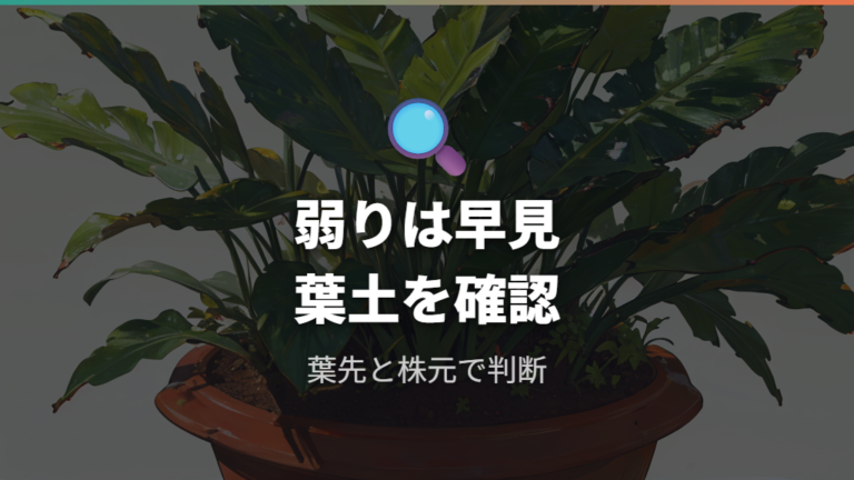 枯れる前に出やすい弱りサインを見分ける