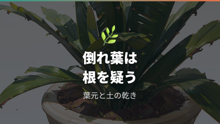 葉が倒れるときに疑う根腐れはどこで判断する?